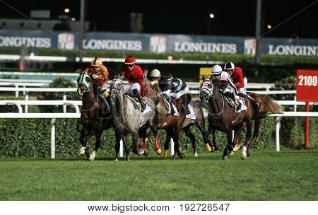 Istanbul Horse Race