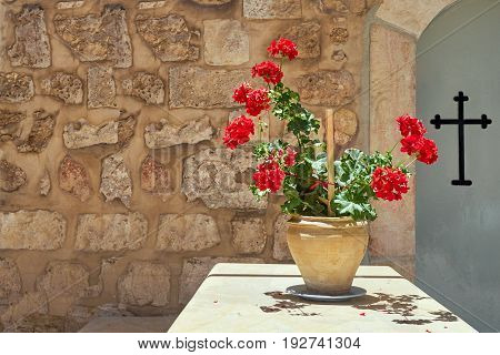 Plant in a pot with red flowers background cross and old stone wall