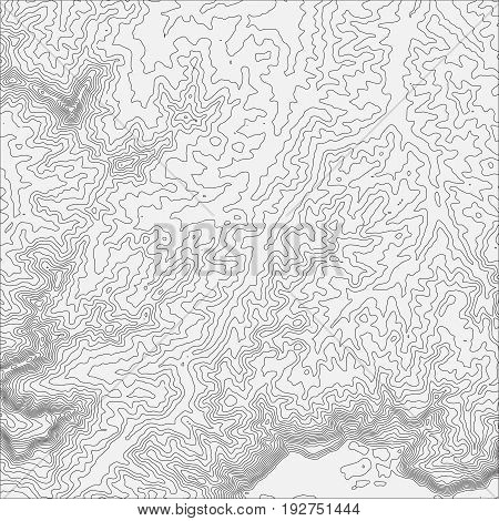 Topographic map background concept with space for your copy. Topo contour map background, vector