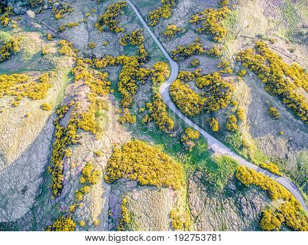 Aerial view of scottish single track road with passing places broom on a moor in the highlands, uk