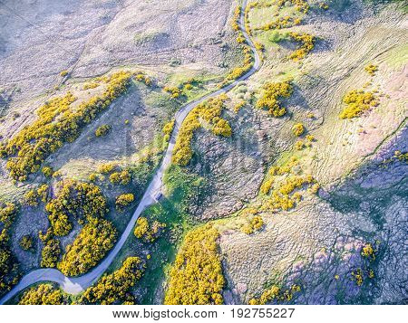 Aerial view of scottish single track road with passing places broom on a moor in the highlands, uk