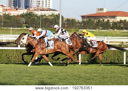 Istanbul Horse Race