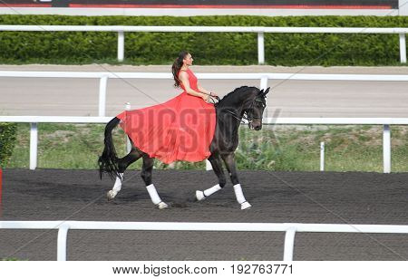 Istanbul Horse Race