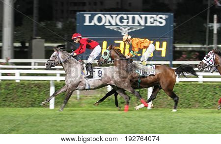 Istanbul Horse Race