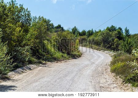 Dirt Road Turning Left