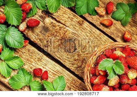Fresh ripe strawberries in a basket on wooden table with green laves. Copy space