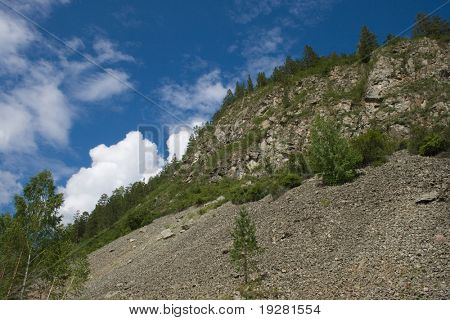 Berghelling met bomen en rock dia of steenslagbeschermkap