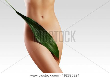Waxing for beautiful woman. Brazilian laser hair removal bikini line an sexy body shapes. Body care and clean skin. Sexy woman in spa