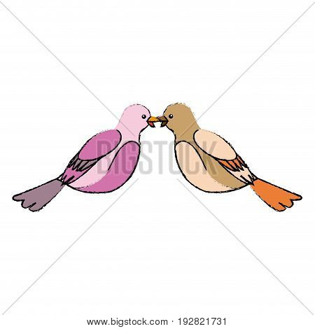 cute bird exotic beak feather adorable icon vector illustration