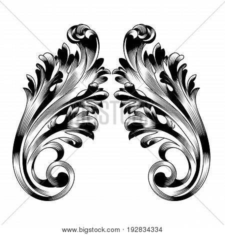 Vintage ornament, baroque ornament, scroll ornament, engraving ornament, border ornament, floral ornament, retro pattern, antique pattern, style acanthus pattern, foliage pattern, swirl pattern decorative pattern, filigree pattern. vector