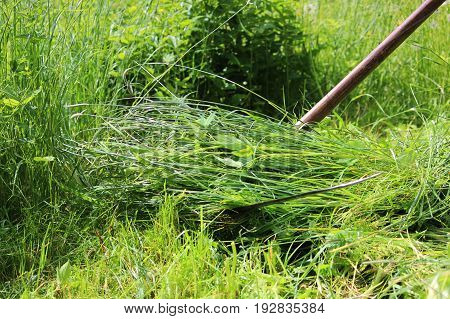 The worker mows the grass with a scythe. Russia