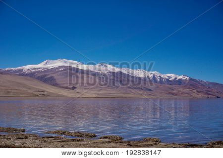 View of  Tso Moriri  lake with blue sky ,Leh Ladakh,  Jammu and Kashmir, India
Beautiful amazing nature background landscape.