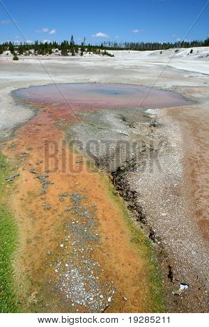 Norris Geyser Basin, parco nazionale di Yellowstone