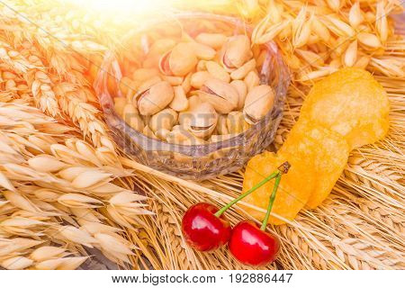Pistachio nuts, peanuts and potato chips a snack for beer lying in a glass dish surrounded by ingredients for making malt for beer, bread. Spikes of wheat, barley, oats, rye, and cherry for cherry beer