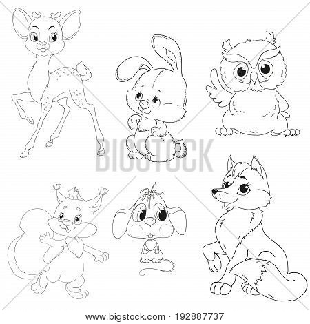 A Collection Of Characters Forest Animals. Cartoon Characters Are Deer Rabbit Squirrel Mouse Fox Owl