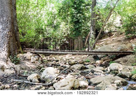 Wooden bridge over the forest stream Amud in the north of Israel