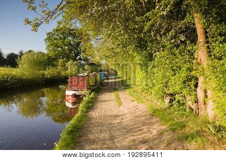 A summer afternoon on the 200 year old Shropshire Union canal in England with traditional British narrowboats moored up on the bank