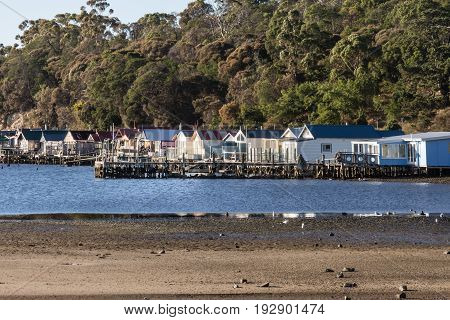 Hobart Australia - March 19. 2017: Tasmania. Closeup of row of small beach houses built over blue river water at Cornelian Bay. Green tree vegetation in back. In front beach.