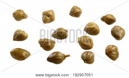Capers-buds Of Capparis Spinosa, Path