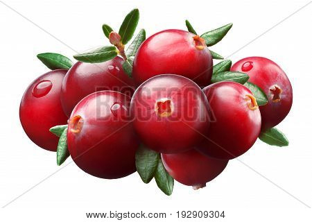 Cranberry Composition, Clipping Paths