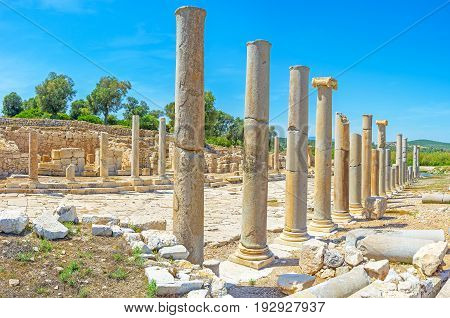 The Ruined Columns
