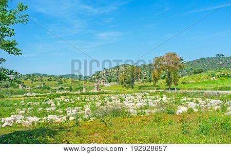 The Patara Ruins