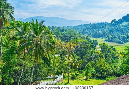 The Tropical Nature Of Udunuwara