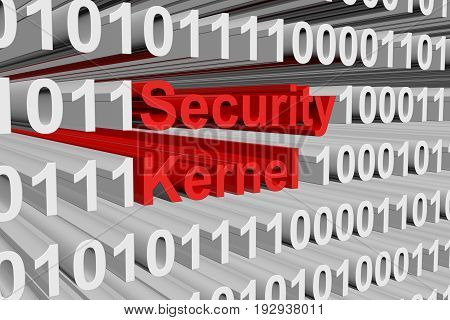 security kernel is presented in the form of binary code 3d illustration