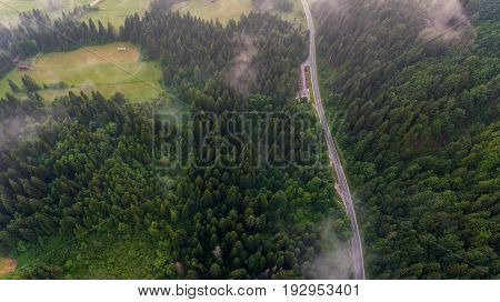 Aerial view of a forest with lake. Natural park Zelenci, Slovenia.