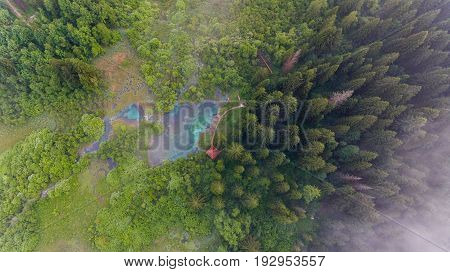 Aerial view of a forest with lake. Natural park Zelenci, Slovenia.