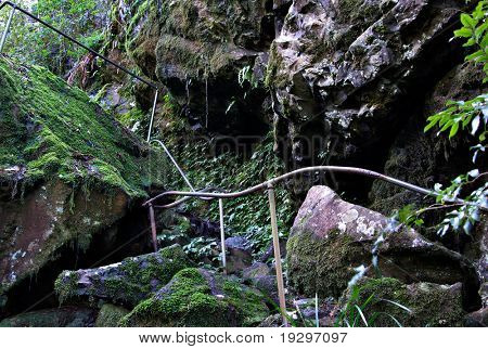 den farefulde sti gennem oxley world heritage regnskov