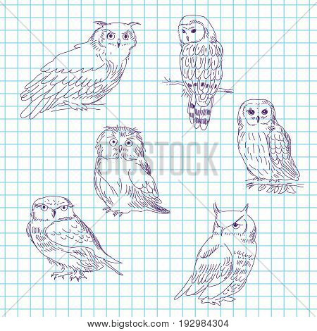 Set Of Realistic Owls On A Tetrad Sheet