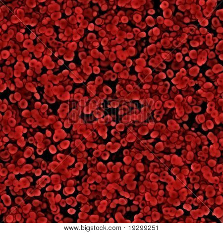 lotes de imagem perfeita das células vermelhas do sangue ao microscópio