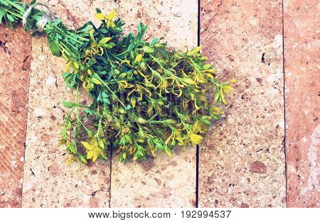 St. John's Wort flowering on a brick base - vintage look