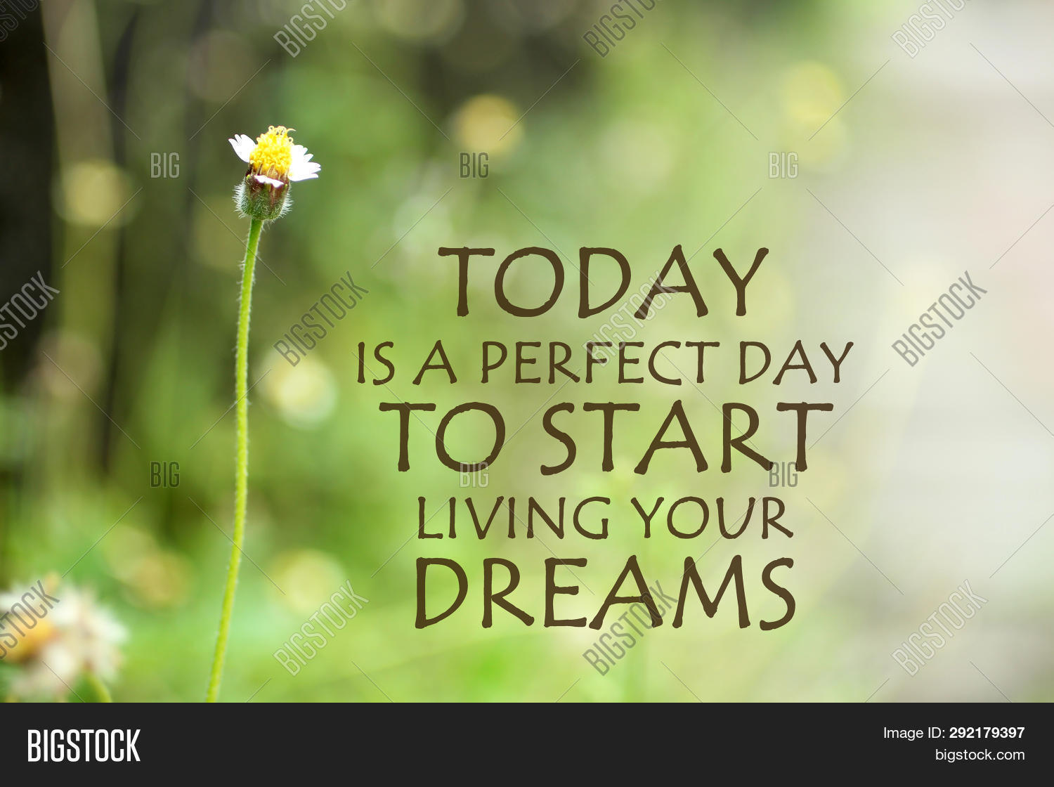 Wallpaper Inspirational Quote Image Photo Free Trial Bigstock HD