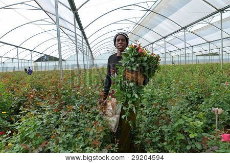 Contadino africano