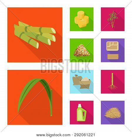 Isolated Object Of Plant And Plantation Symbol. Collection Of Plant And Agriculture  Stock Vector Il