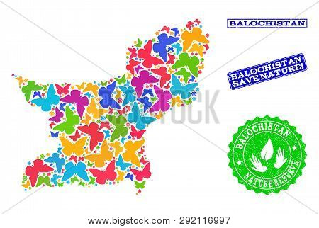 Eco Friendly Collage Of Bright Mosaic Map Of Balochistan Province And Scratched Seals With Nature Re