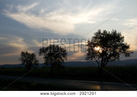Coucher de soleil derrière les arbres avec couleur ciel