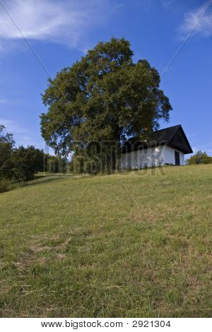 Gîte sous l'arbre et le ciel bleu