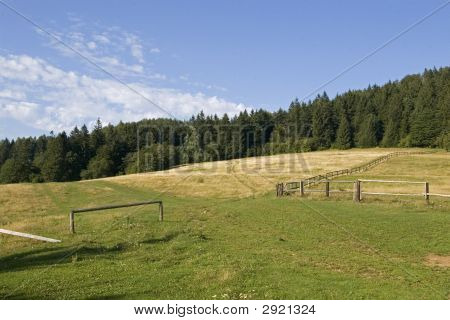 Prairie avec arbres dans le fond et le ciel bleu