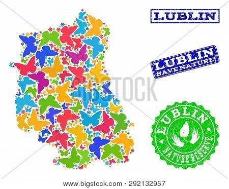 Eco Friendly Composition Of Bright Mosaic Map Of Lublin Province And Rubber Seals With Nature Reserv