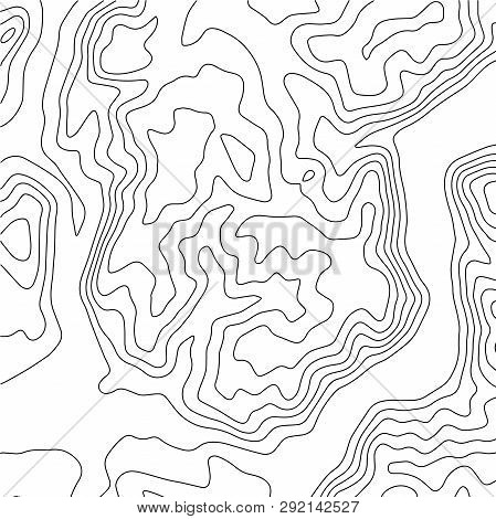 Topographic Map Background. Geographic World Topography Map Grid Abstract Vector Illustration. Topo 