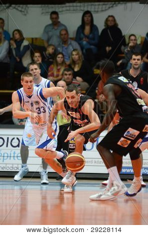 KAPOSVAR, Ungarn - Januar 21: Nik Raivio (weiß 33) in Aktion am Nemzeti Bajnokság