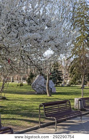 Sofia, Bulgaria - March 27, 2019: Spring Landscape With Trees And Gardens At Park Zaimov In City Of 