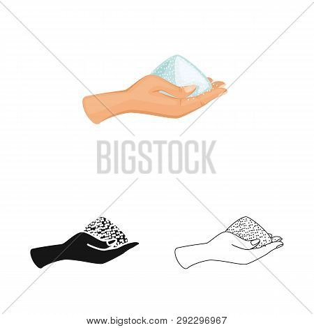 Vector Design Of Arm And Handful Symbol. Set Of Arm And Salty Vector Icon For Stock.
