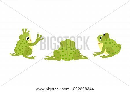 Vector Flat Cartoon Animal Clip Art Green Frog, Toads