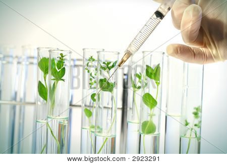 Stříkačka vstřikuje kapalina ve zkumavkách