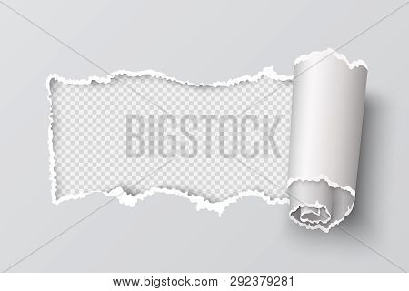 Torn Paper Edge. Realistic Transparent Header Hole, White Page Ripped Grunge Texture, Destroyed Card