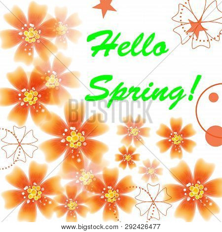 Bright Beautiful Orange Flowers, Circles And Stars. Vector Illustration.